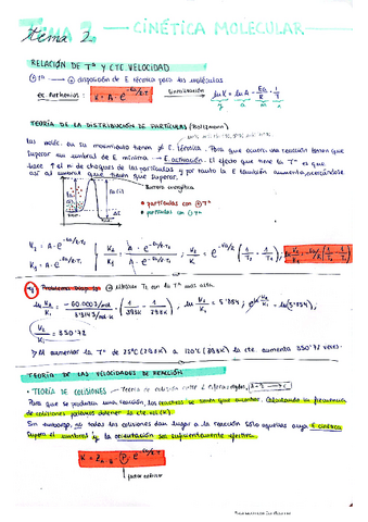 Teoria-tema-2-ffq.pdf
