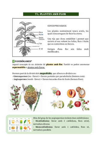 T1.-Plantes-amb-flor.pdf