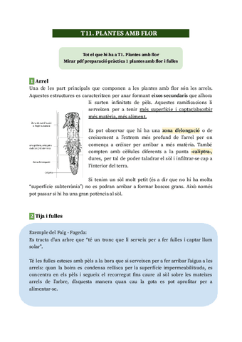 T11.-Plantes-amb-flor.pdf