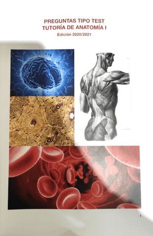 CUADERNILLO-ANATO-1.pdf