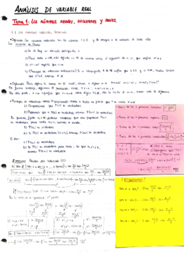 Análisis de variable real (teoría).pdf