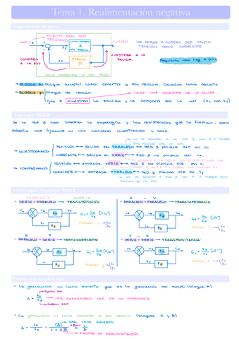 T1.-Realimentacion-negativa.pdf