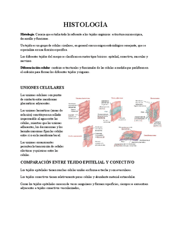 tema-4-HISTOLOGIA.pdf