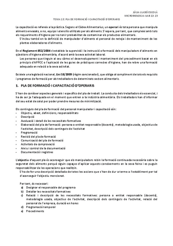Tema-13-Pla-de-formacio-i-capacitacio-doperaris.pdf