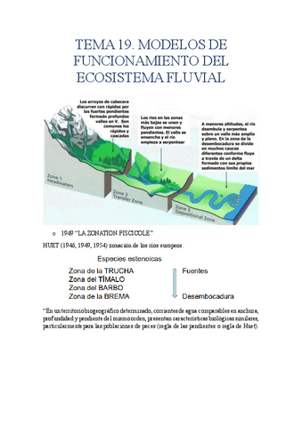 TEMA-19.-MODELOS-DE-FUNCIONAMIENTO-DEL-ECOSISTEMA-FLUVIAL.pdf