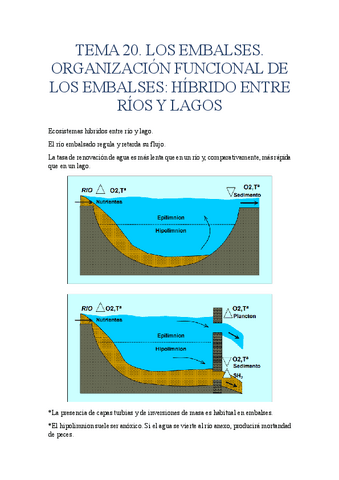 TEMA-20.-LOS-EMBALSES.-ORGANIZACION-FUNCIONAL-DE-LOS-EMBALSES.pdf