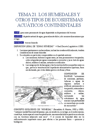 TEMA-21.-LOS-HUMEDALES-Y-OTROS-TIPOS-DE-ECOSISTEMAS-ACUATICOS-CONTINENTALES.pdf