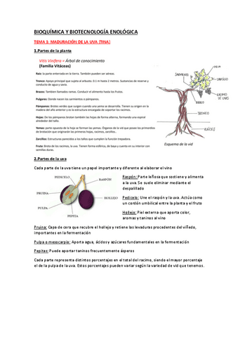 APUNTES-BQ-BIOTEC.pdf