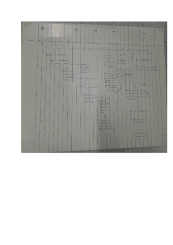 Resumen-modelo-neolibeal.pdf