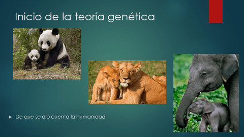 Bases-Mendelianas-de-la-genetica-clinica.pptx-1.pdf