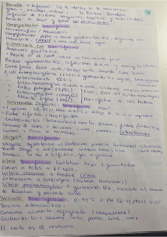 Parcial-2.-Cara-4.pdf