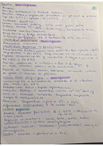 Parcial-2.-Cara-5.pdf