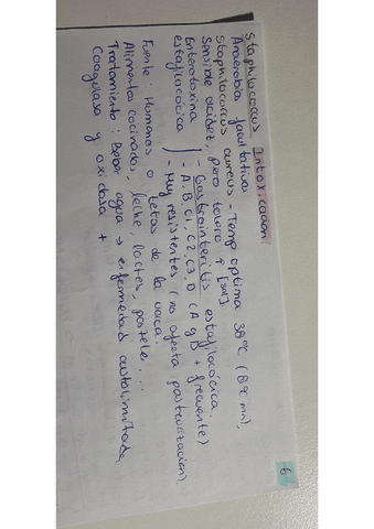 Parcial-2.-Cara-6.pdf