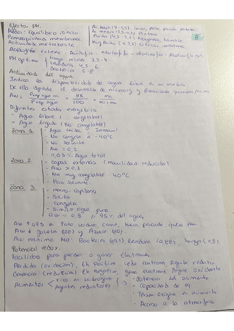 Parcial-2.-Cara-8.pdf