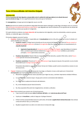 Intestino-Delgado.pdf