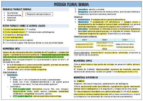 Patologia-pleural-benigna.pdf