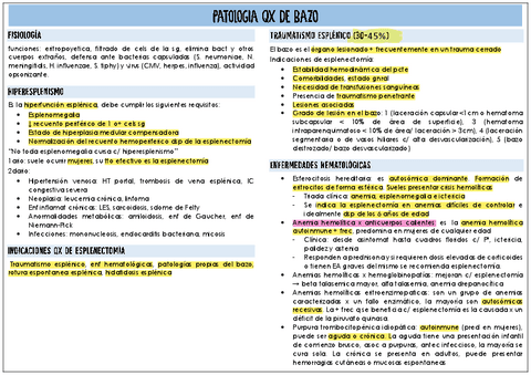 patologia-quirugica-de-bazo.pdf