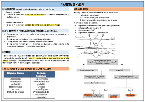 trauma-cervical.pdf