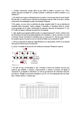 autoevaluacion1.pdf