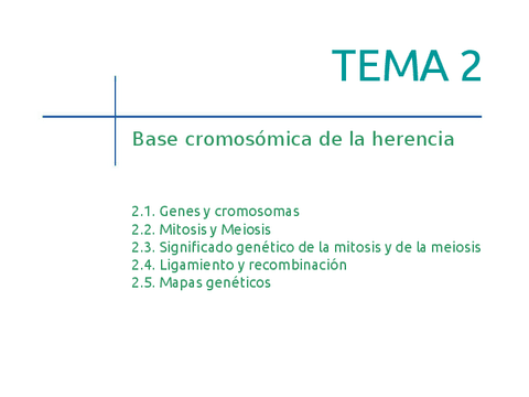 Teoria-Cromosomicav3.pdf