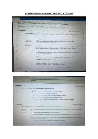 EXAMEN-TEORICO-PRACTICO-OVINO-2023-1.pdf