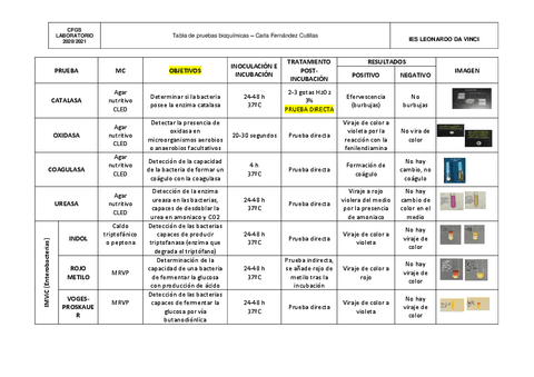 CuadroPruebasBQCarlaFernandez.pdf