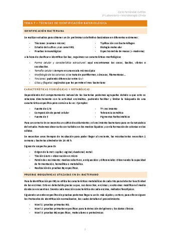 Tema-7-Tecnicas-de-Identificacion-BQ.pdf
