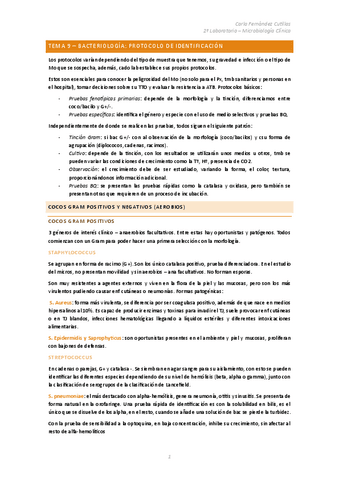 Tema-9-Protocolos-de-Identificacion.pdf