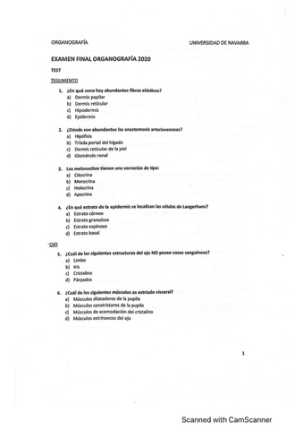 Examen-final-test-organografia.pdf