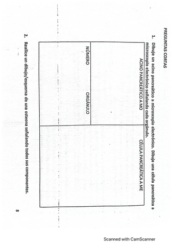 Preguntas-cortas-examen-biocel-2019.pdf