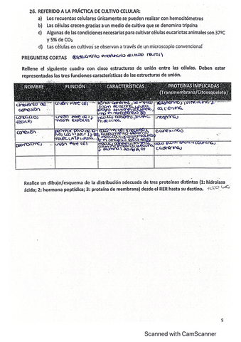Preguntas-cortas-biocel-final-2019.pdf