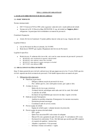 TEMA-2.pdf