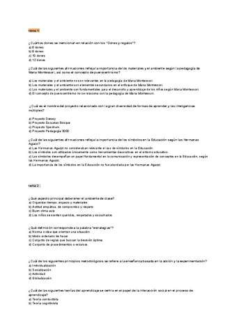 ensayo-examen-didactica.pdf