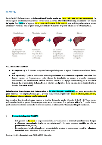 PREG-DESARROLLO-2.ENFERMEDADES-INFECCIOSAS-VIH-Y-VHH.pdf