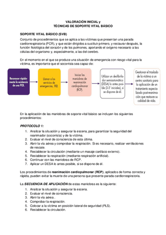 UD-4-APUNTES.pdf