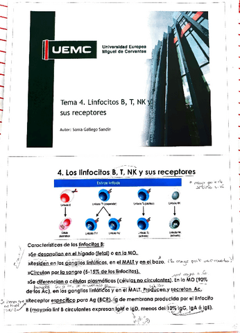 t4-LINf-B-T-NK-y-sus-receptores-1.pdf