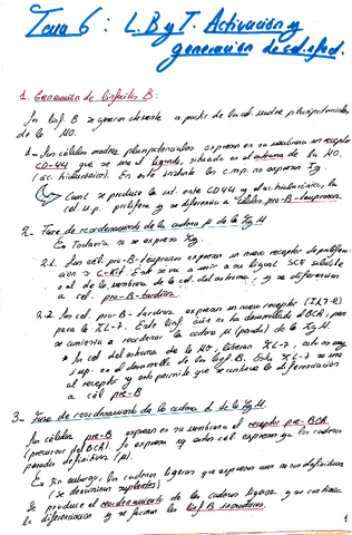 tema-6-L-T-B-.-activacion-y-gracion-1.pdf