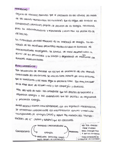 Tema-7.pdf