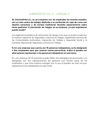 Ejercicio 10 y 11 | U2 - Planificación y gestión de la prevención.pdf