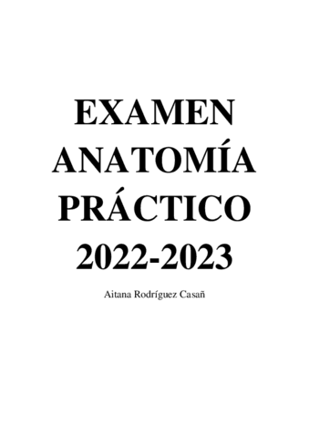 EXAMEN-PRACTICO-2022-23.pdf
