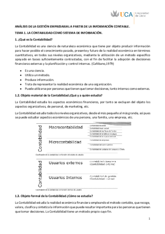 TEMA 1.pdf