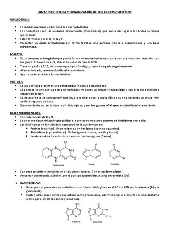 Estructura-y-organizacion-de-los-acidos-nucleicos.pdf