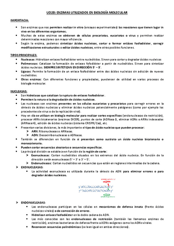 Enzimas-utilizados-en-biologia-molecular.pdf