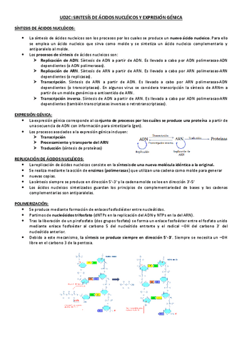 Sintesis-de-acidos-nucleicos-y-expresion-genica.pdf