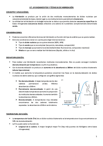 Fundamentos-y-tecnicas-de-hibridacion.pdf