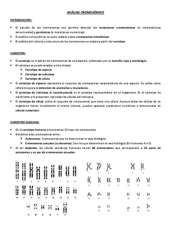 Analisis-cromosomico.pdf
