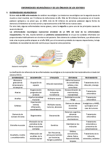Enfermedades-neurologicas-y-de-los-organos-de-los-sentidos.pdf