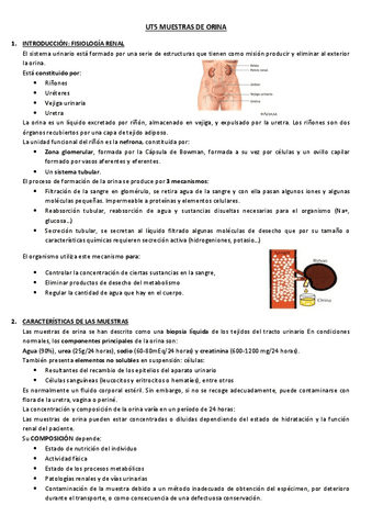 Muestras-de-orina.pdf