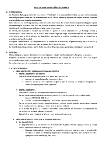 Muestras-de-LAP.pdf