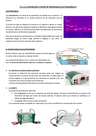 UT-4.2-La-separacion-por-propiedades-elctroquimicas.pdf